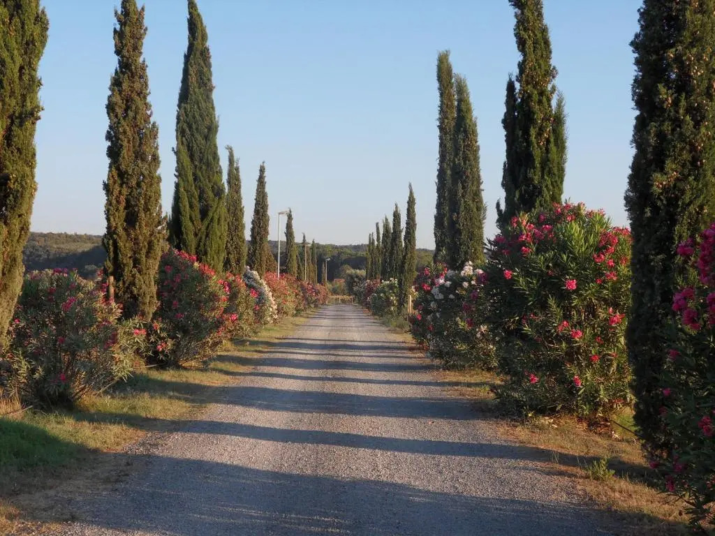 Fattoria La Steccaia