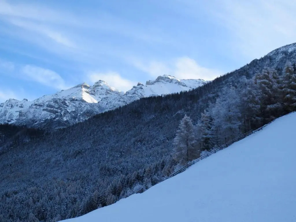 Ferienwohnung Halder, inklusive STUBAI SUPER CARD