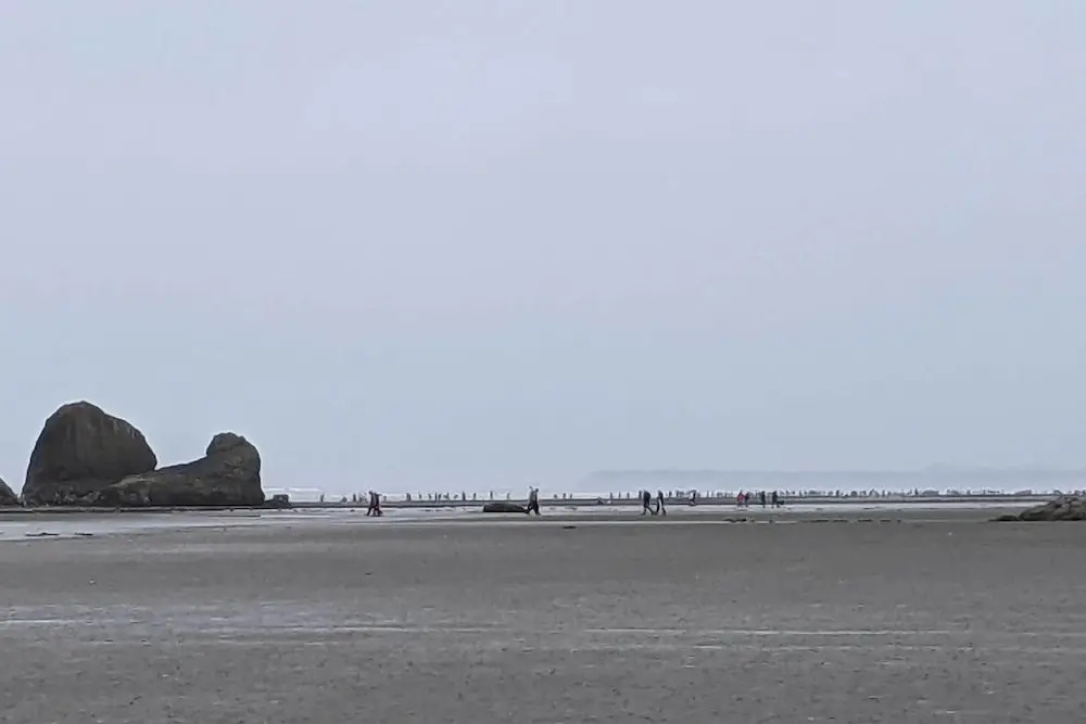 Coastal Washington Getaway: Walk to Beach!