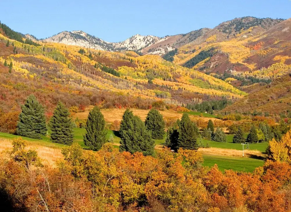 Heber Senator Bed and Breakfast