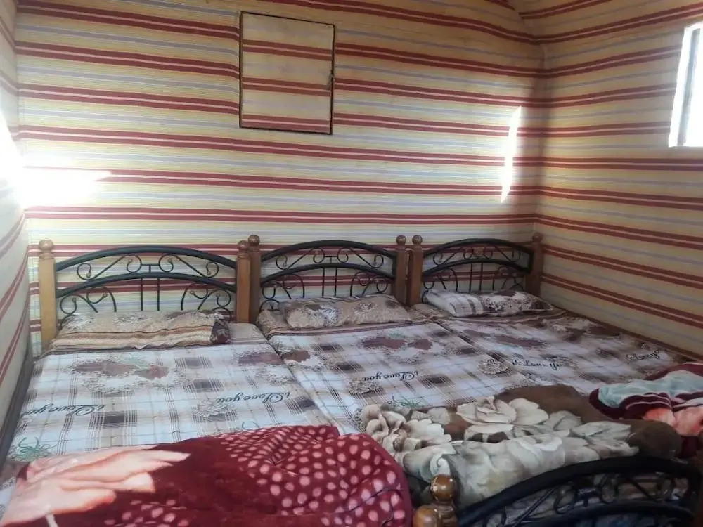 Wildlife Camp