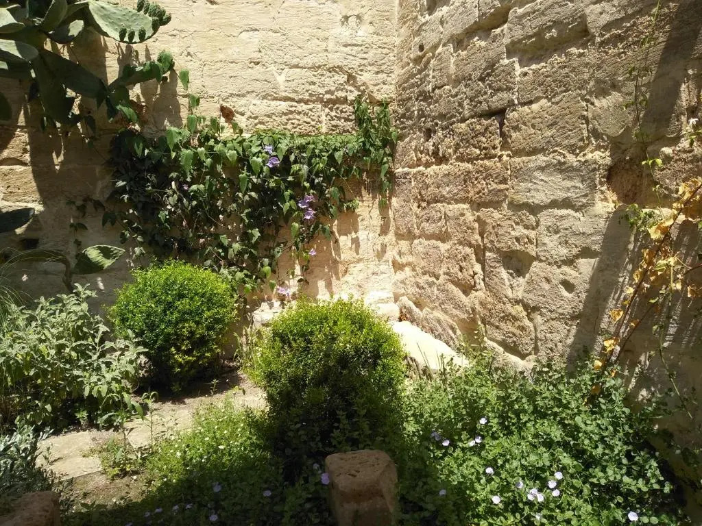 Il Giardino Di Benedetta