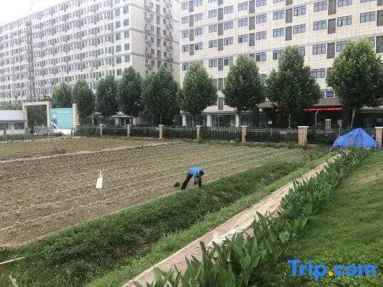 Wuhan Jointown White Swan Eco Hotel