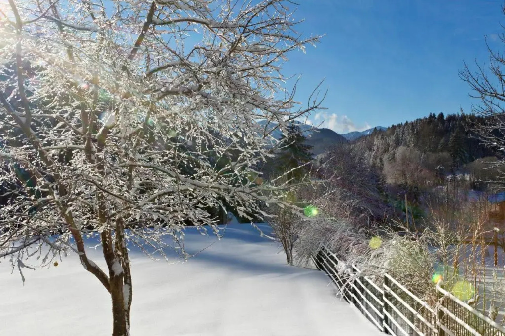 Pension Klug Adults only