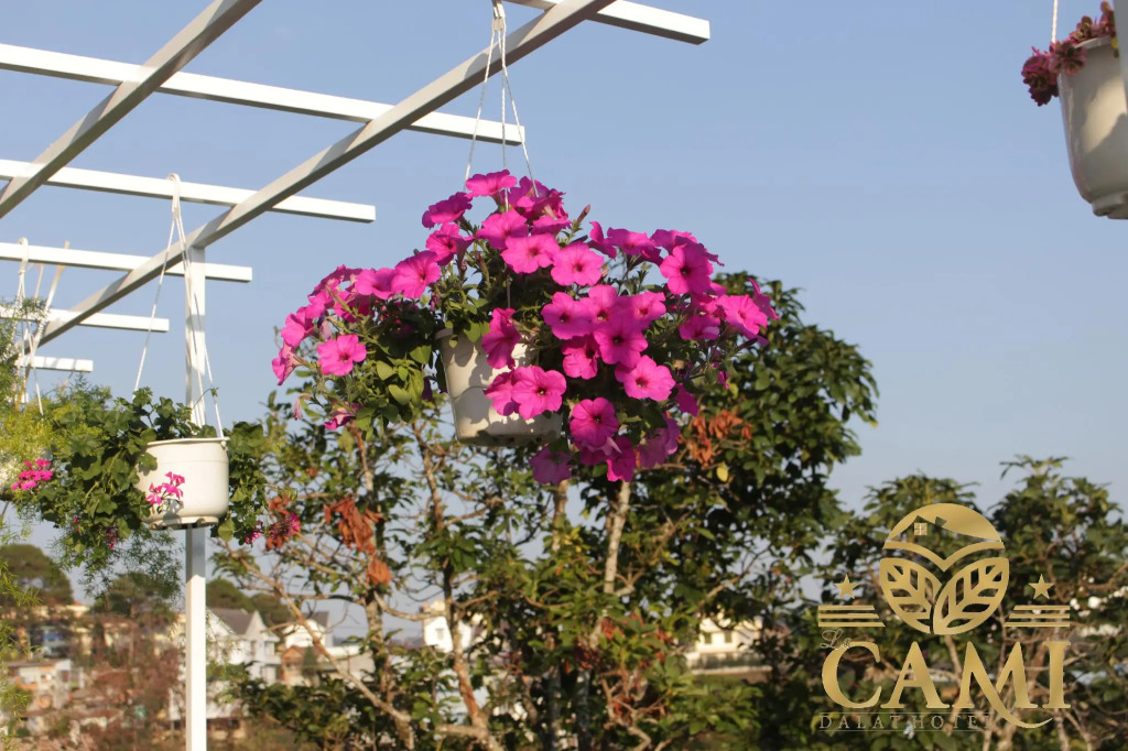 Lacami Dalat Hotel
