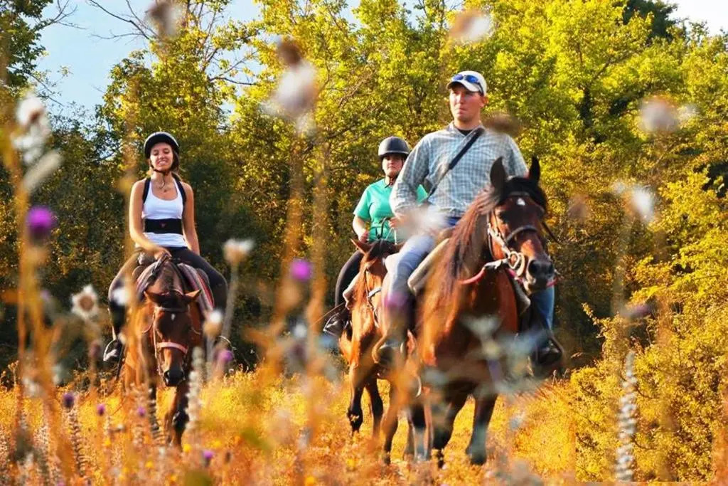 HOTEL HOLIDAYS a Barrea - Natura, Relax e Benessere nel Parco dAbruzzo
