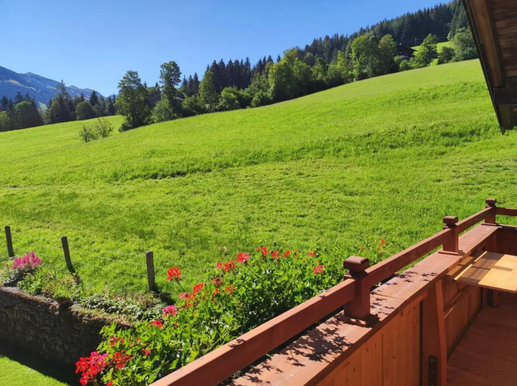 Ferienwohnungen Schneiderhausl