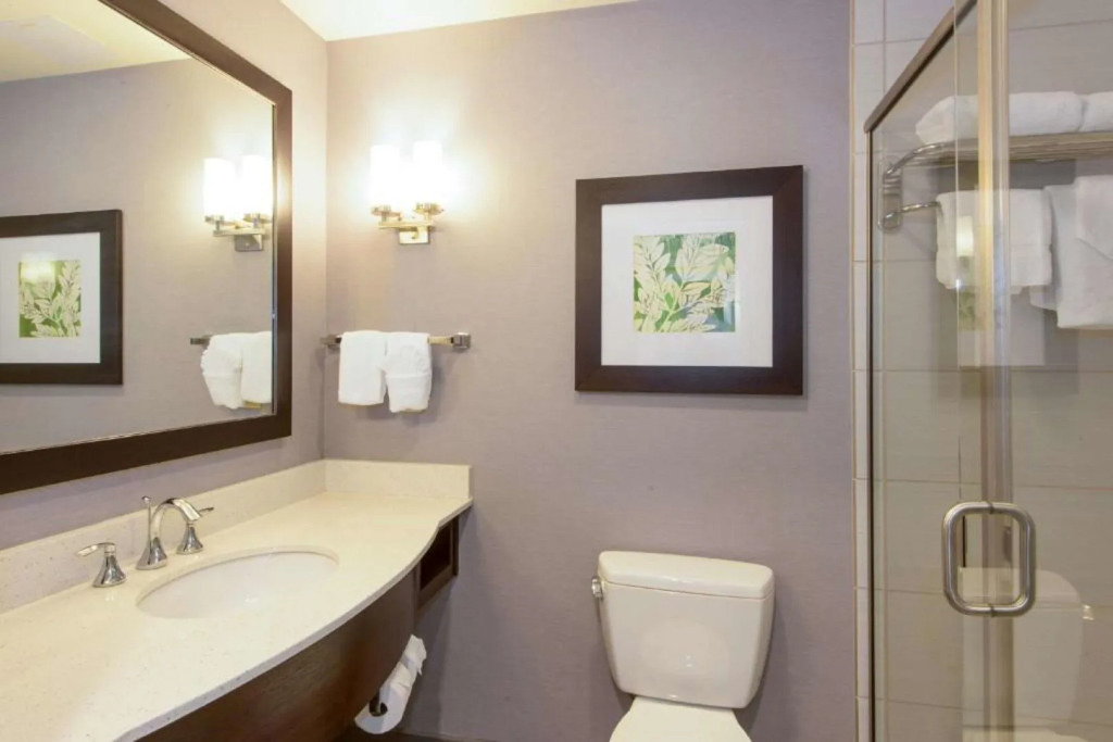 Hilton Garden Inn Raleigh Cary