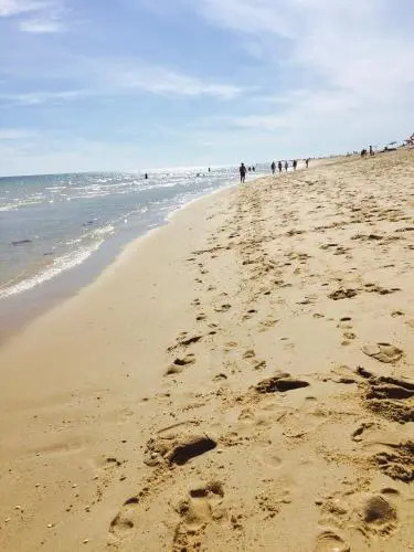 Discovery Tavira