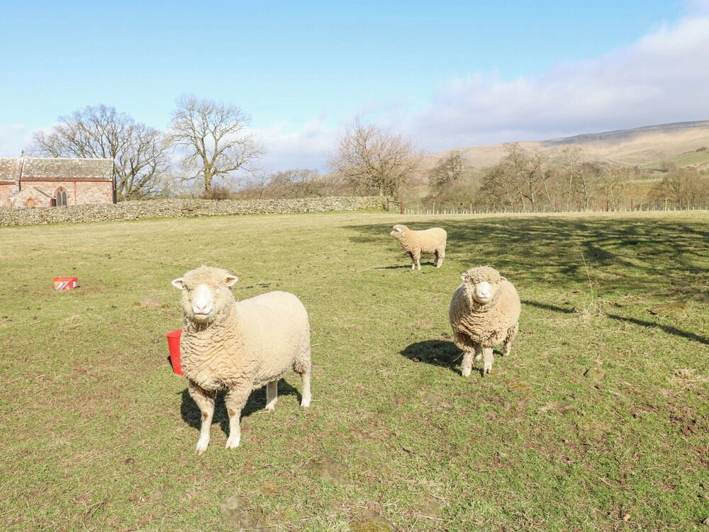 Rayson Hall Barns