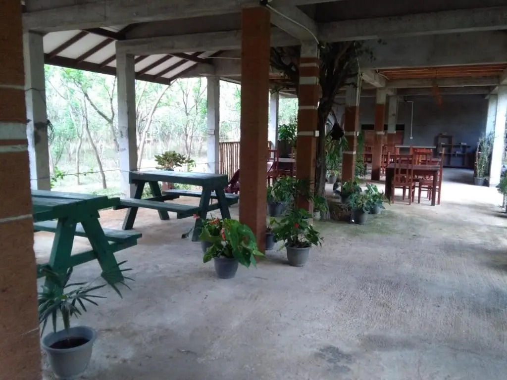 Lavish Eco Jungle