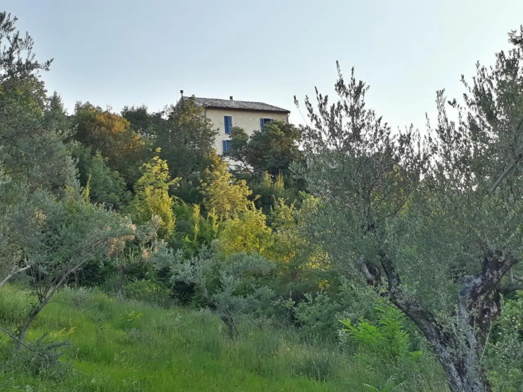 La casa dalle finestre blu