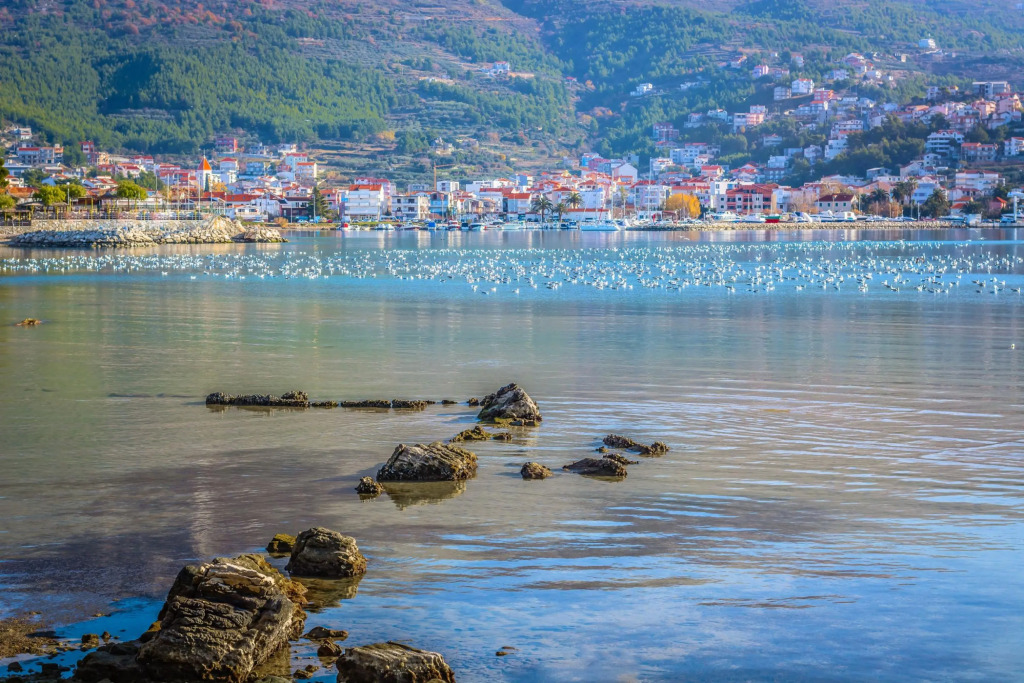 Sea View Villa Danica