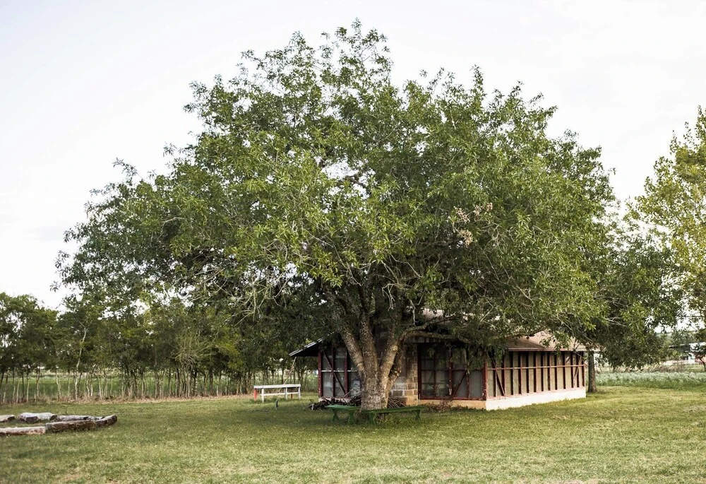 Wild Arrow Ranch