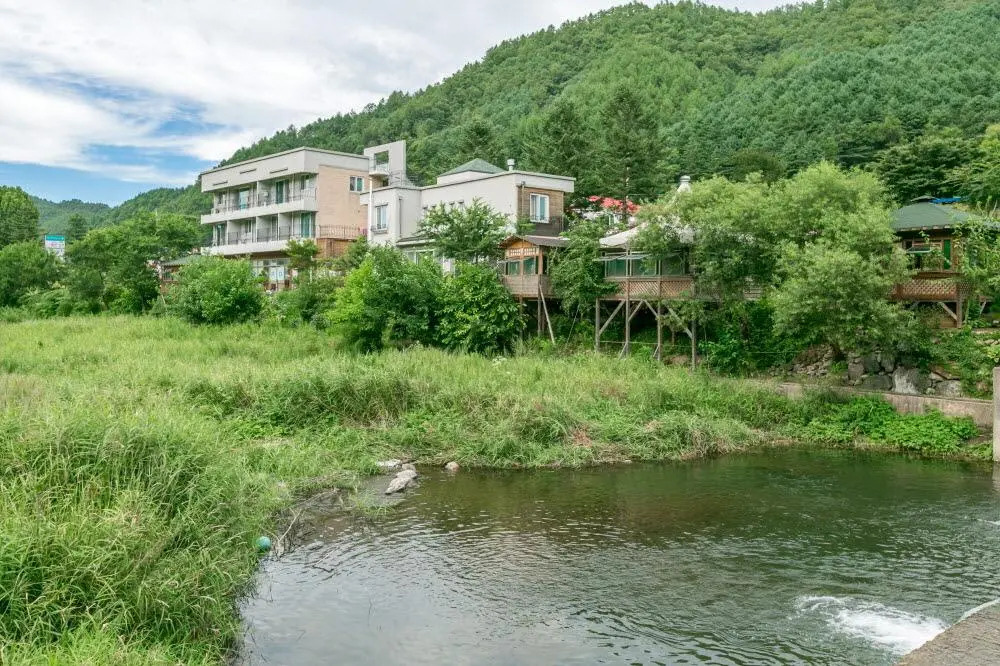 Platy Pension