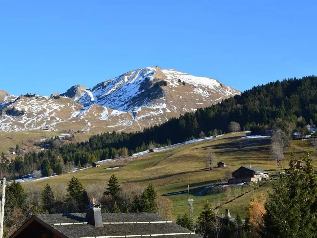 Appartement Le Grand-Bornand, 1 pièce, 4 personnes - FR-1-241-176