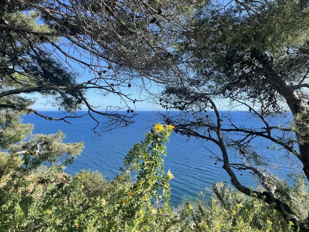 Appartement mignon calme douillet ascenseur clim étage élevé proche parking et toutes commodités au coeur du Toulon historique