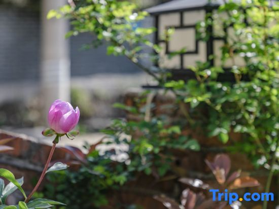 Wuyilan Mountain Guesthouse