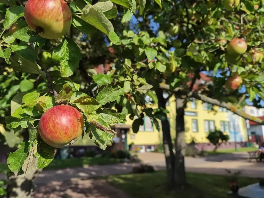 Hotel Wandersleben - Erfurt