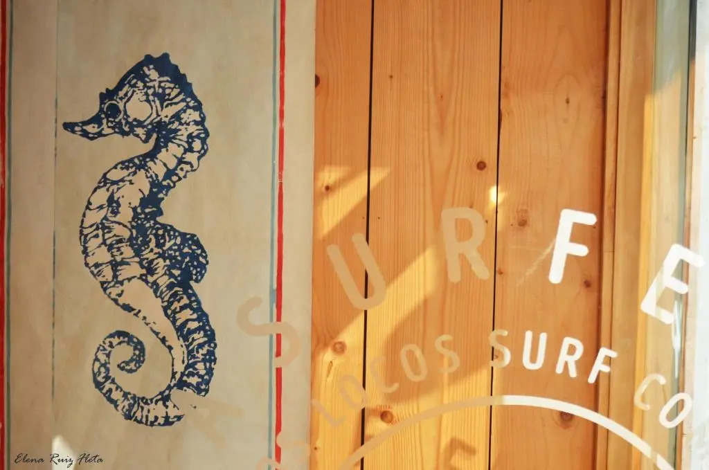 La Surferia
