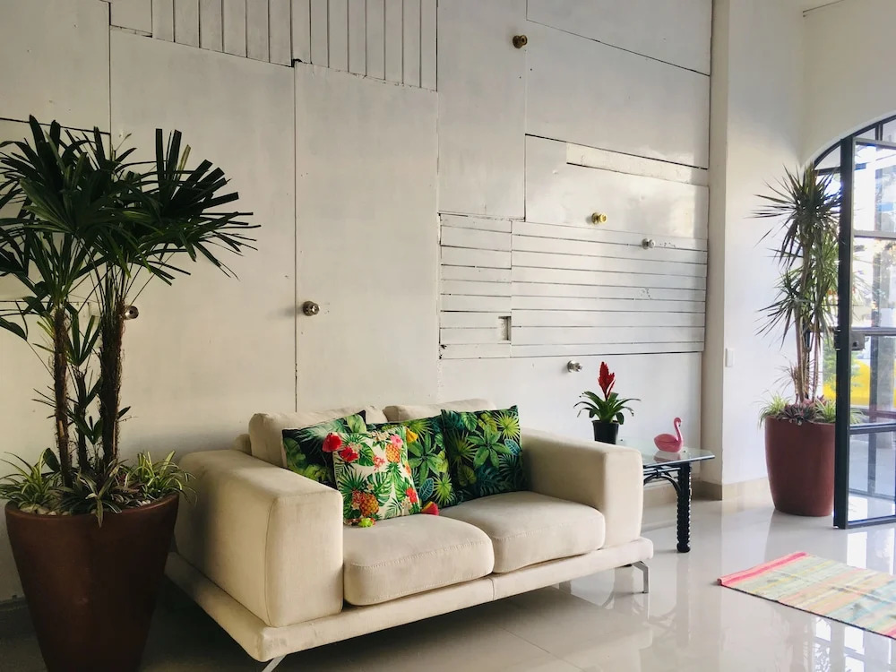 Tropicus 1 Estudio Room