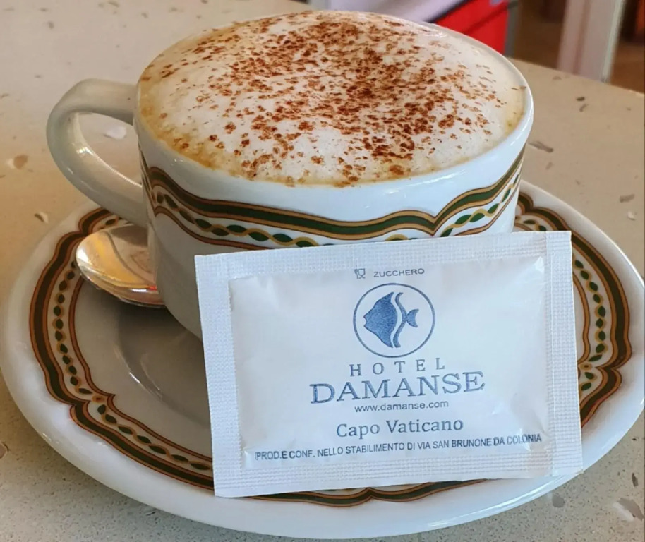 Hotel Damanse