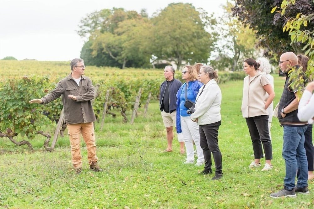 Domaine Beaumont - Vignoble & Maison dHôtes Vigneronne