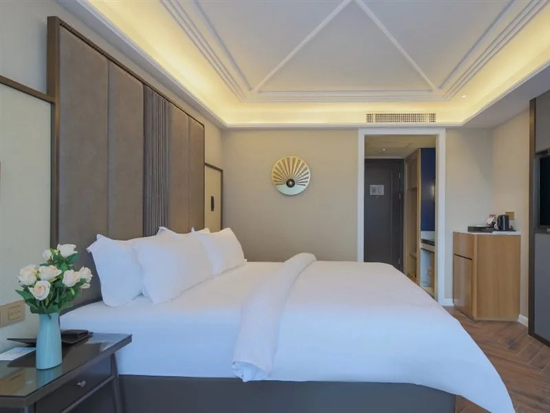 Jinjiang Metropolo Hotel ( NanJing Nan Railway Station Certre)