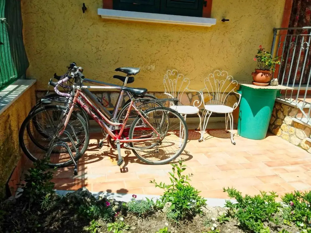 Sallys B&B