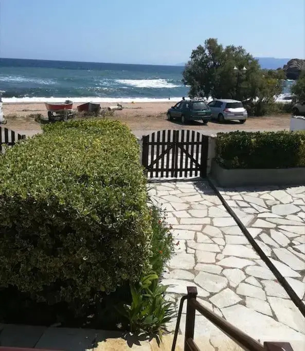 Theo House 1