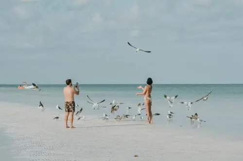 Tekio Beach Hotel