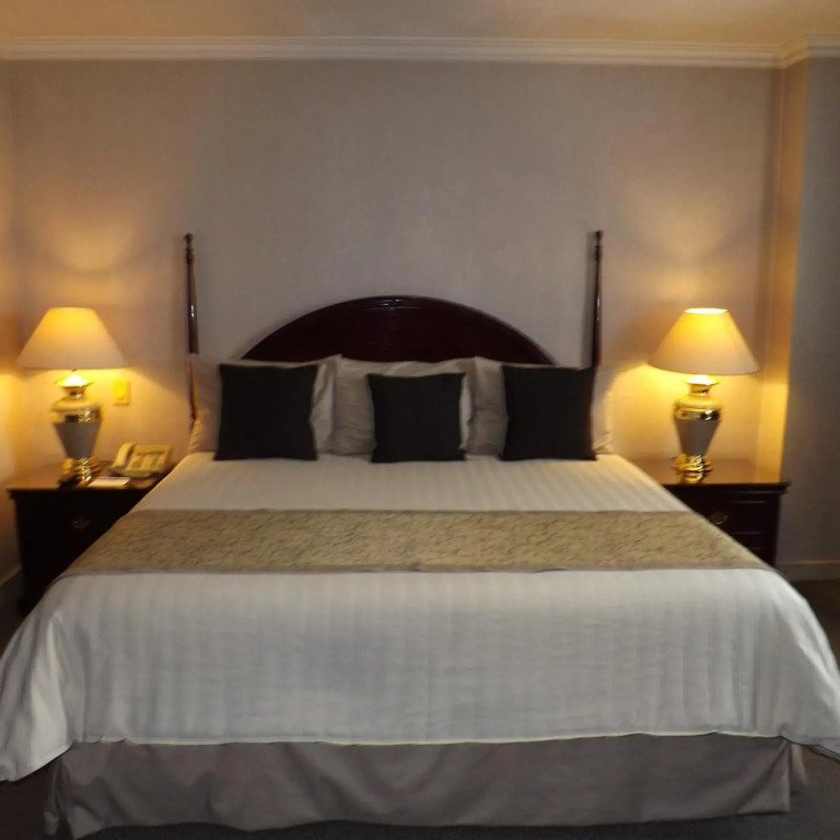 Pedregal Palace