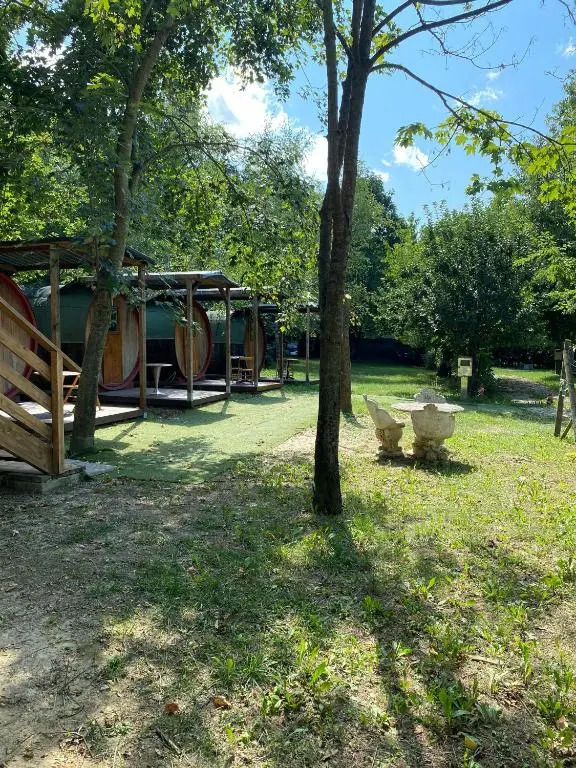 Room in Studio - Casa sullalbero Rural eco