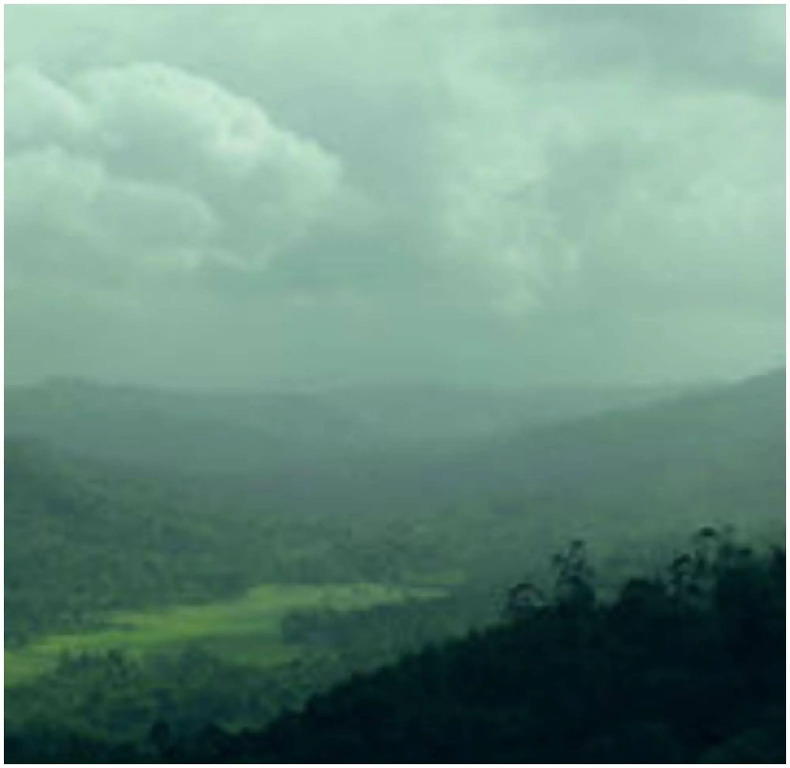 SpiceTree Munnar