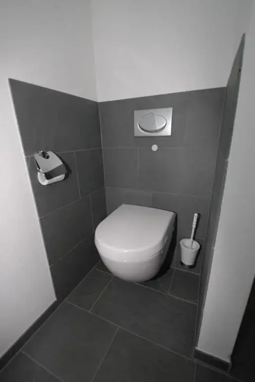 Bio-Studio Königskerze
