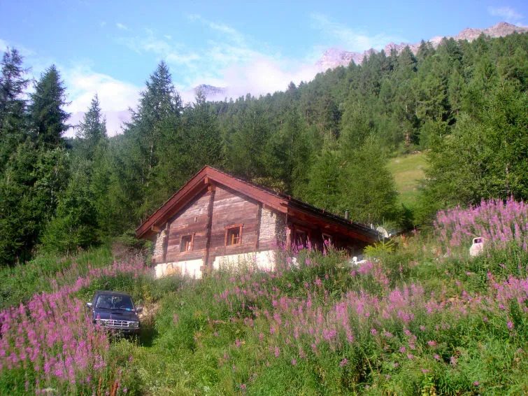 Chalet Epilobes