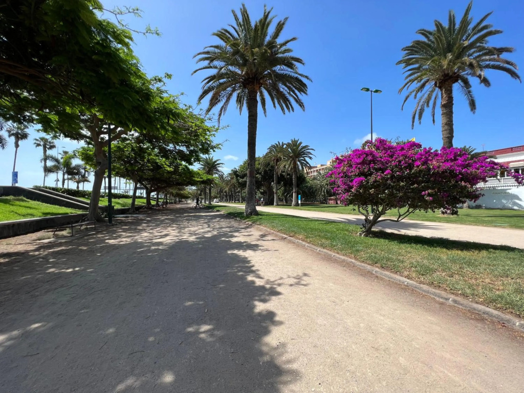 Apartamento Parque Jardín