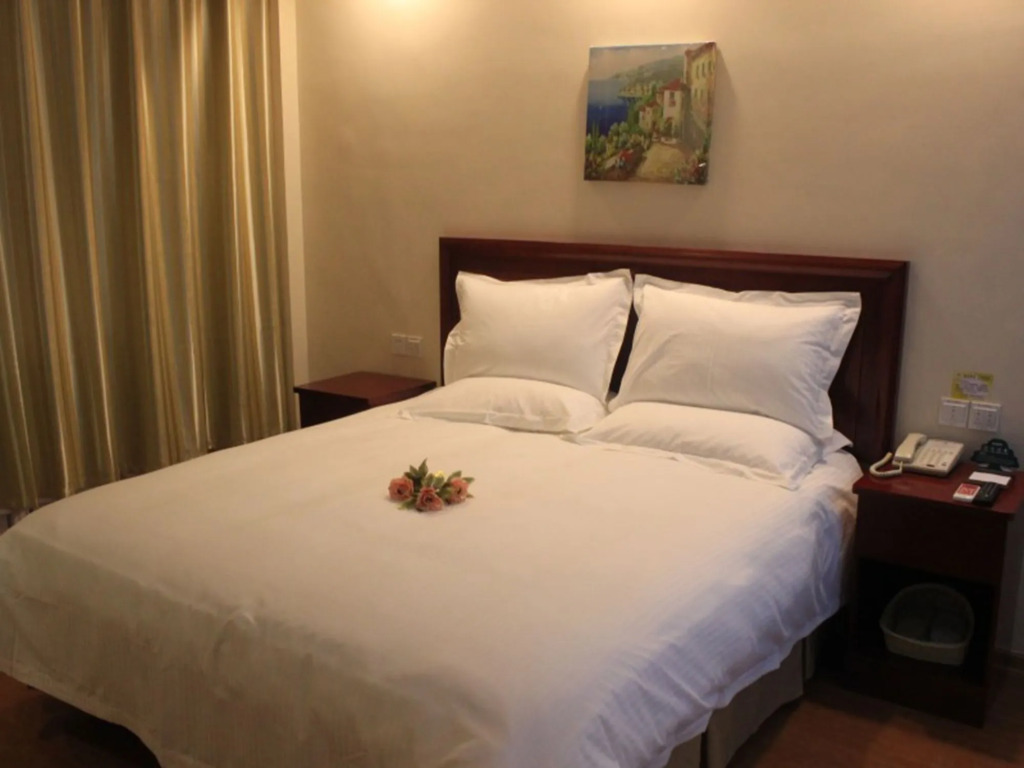GreenTree Inn Jining Qufu East Jingxuan Road Sankong Express Hotel