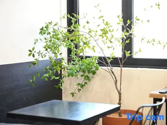HOTEL STAY AYANA DAEJEON