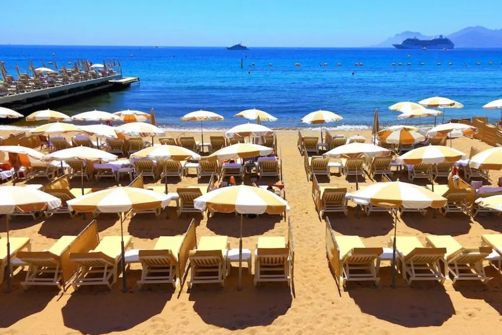 Cannes premium 3 BR 2 bath fully renovated heart of town by Olam Properties