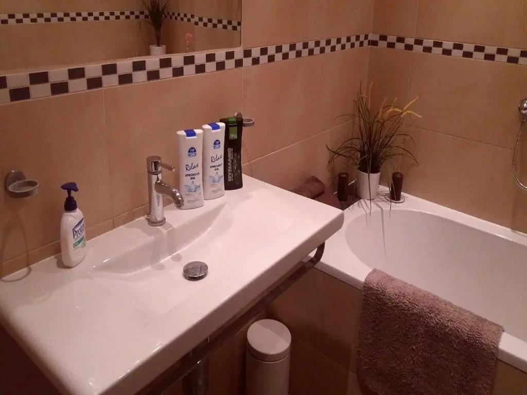 Spacious 3BDR Wenceslas Square