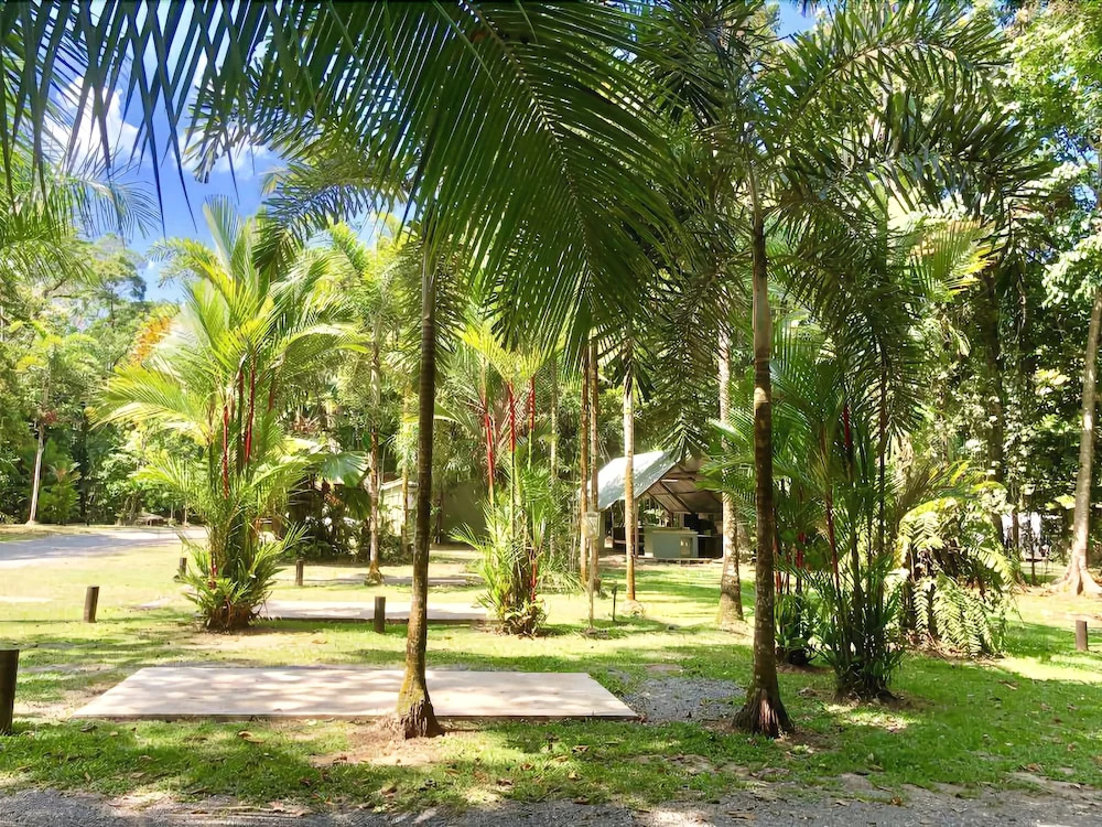 Daintree Siesta