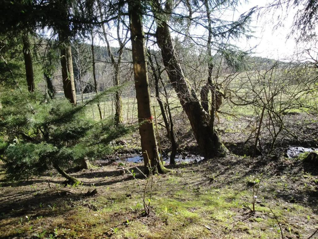 Ferienwohnung Wandervogel