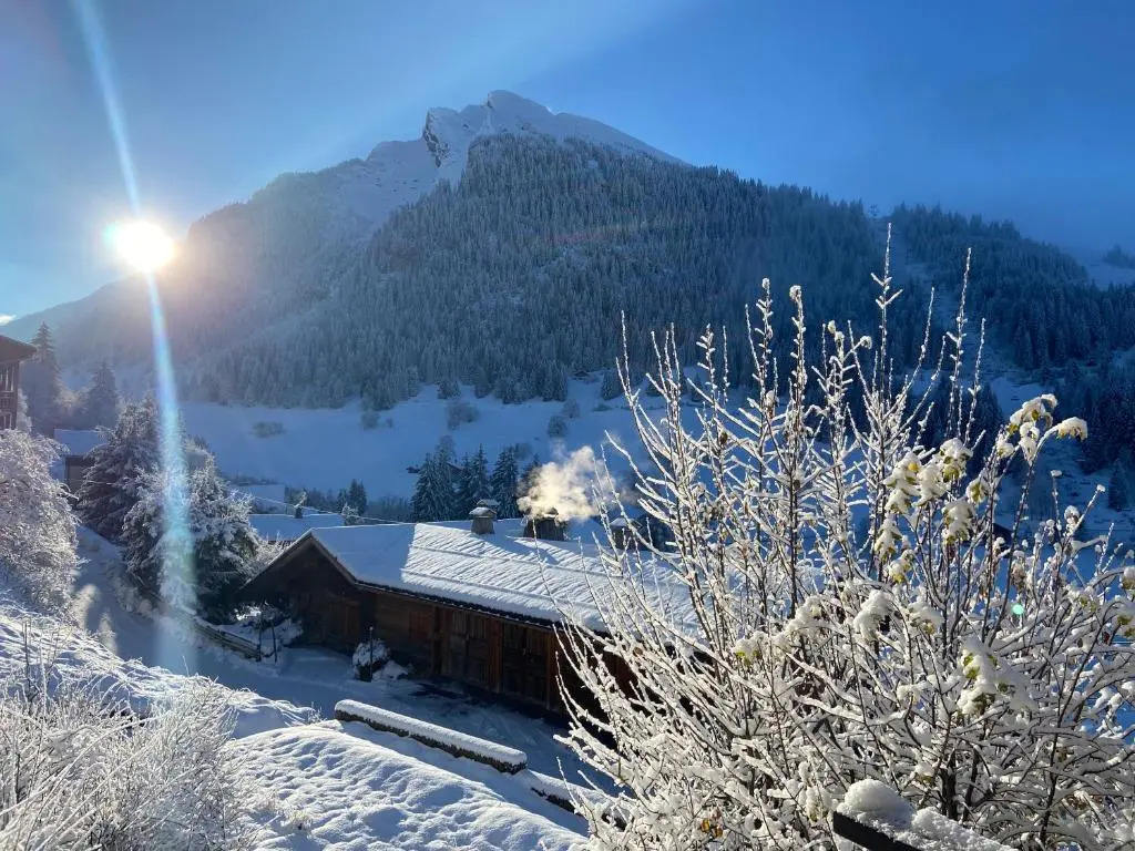 Appartement cosy au pied des pistes