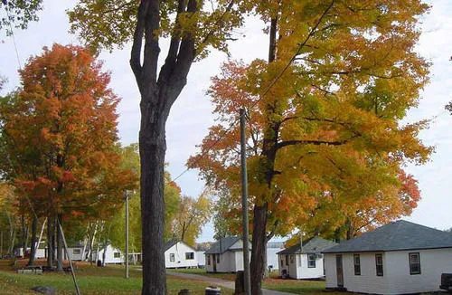 The Birches Resort