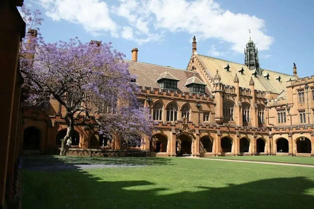 A Walk to Syd Uni & RPA Hospital