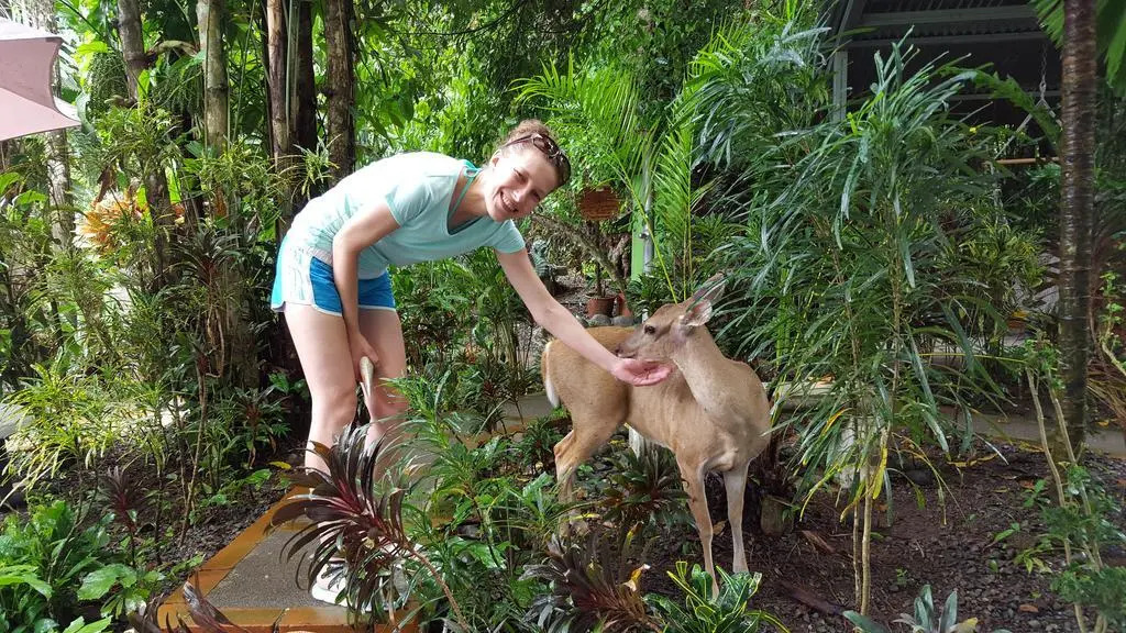La Posada Jungle Hotel
