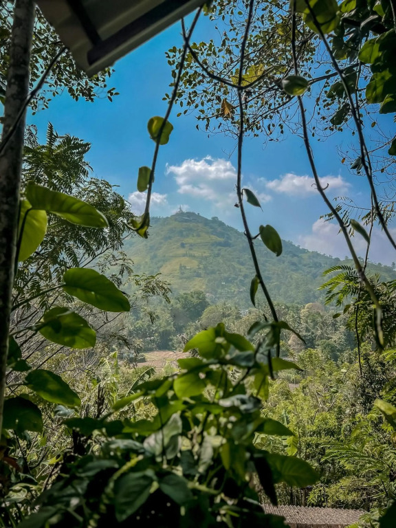 Secret Mountain Paradise