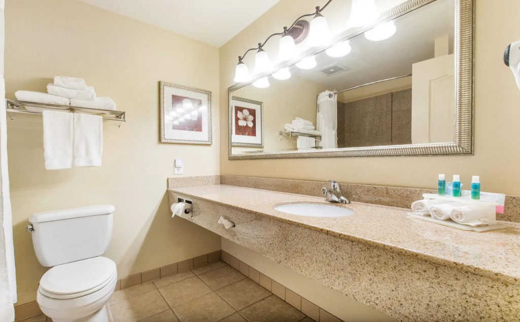 Holiday Inn Express Hotel & Suites Lagrange I-85 by IHG