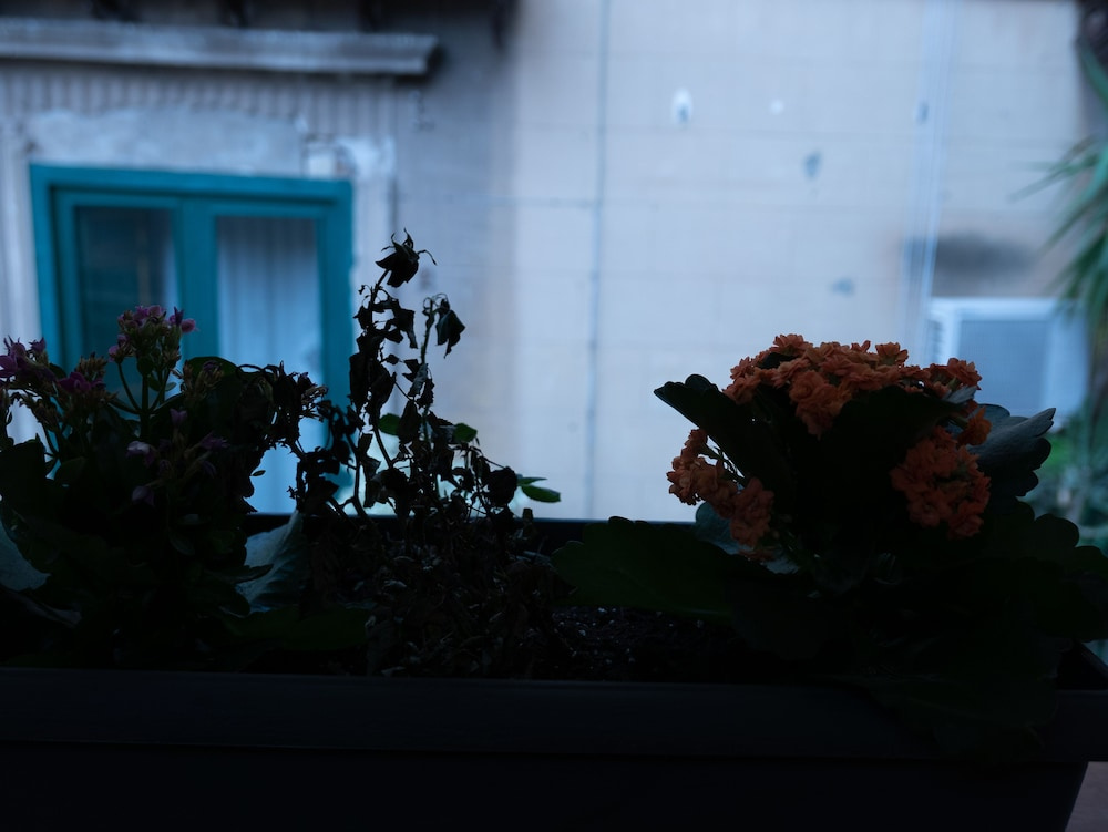 San Francesco Rooms and Apartment with Terrace in Palermo Locazione Turistica